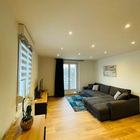Appartement Les Tilleuls "3 Etoiles" 니더브룬레벵즈 외부 사진