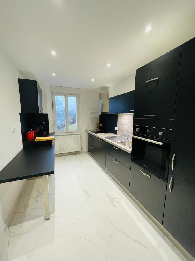 Appartement Les Tilleuls "3 Etoiles" 니더브룬레벵즈 외부 사진