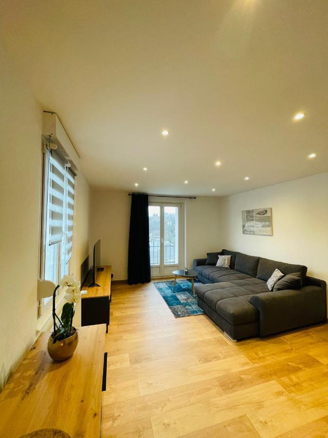 Appartement Les Tilleuls "3 Etoiles" 니더브룬레벵즈 외부 사진