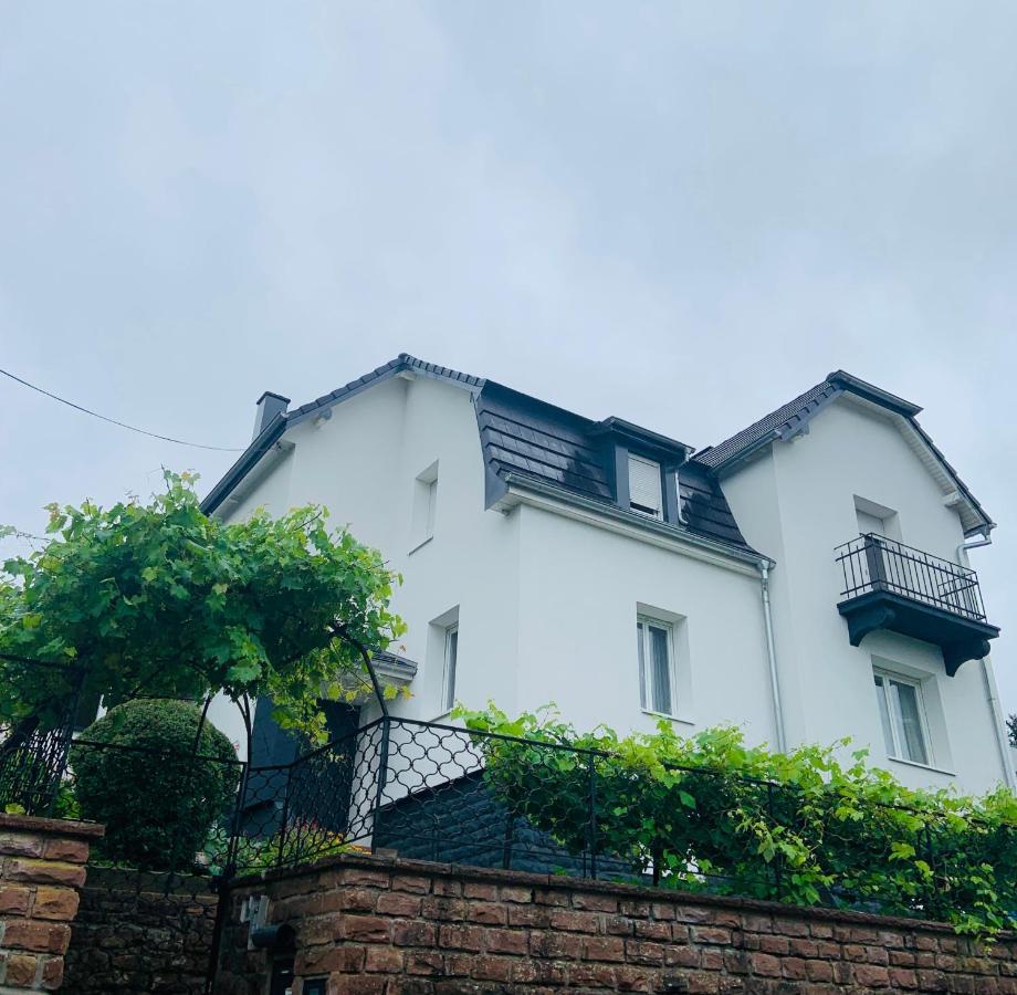 Appartement Les Tilleuls "3 Etoiles" 니더브룬레벵즈 외부 사진