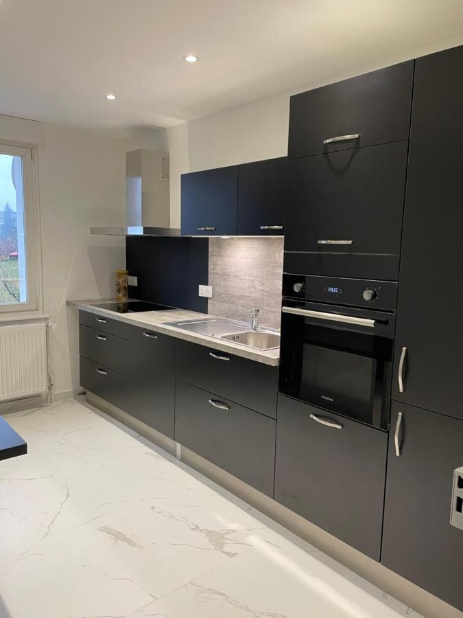 Appartement Les Tilleuls "3 Etoiles" 니더브룬레벵즈 외부 사진