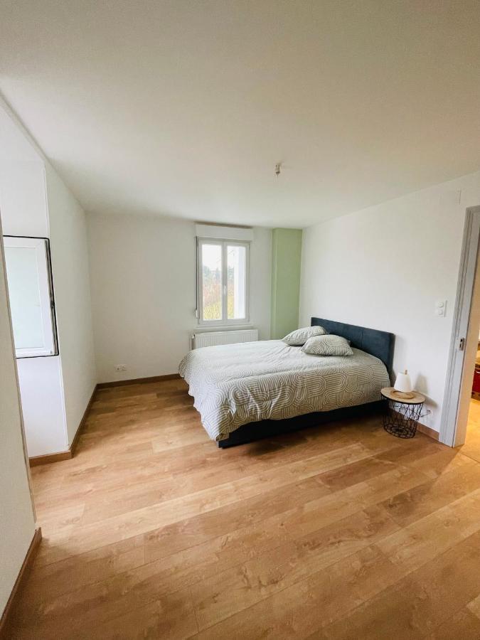 Appartement Les Tilleuls "3 Etoiles" 니더브룬레벵즈 외부 사진