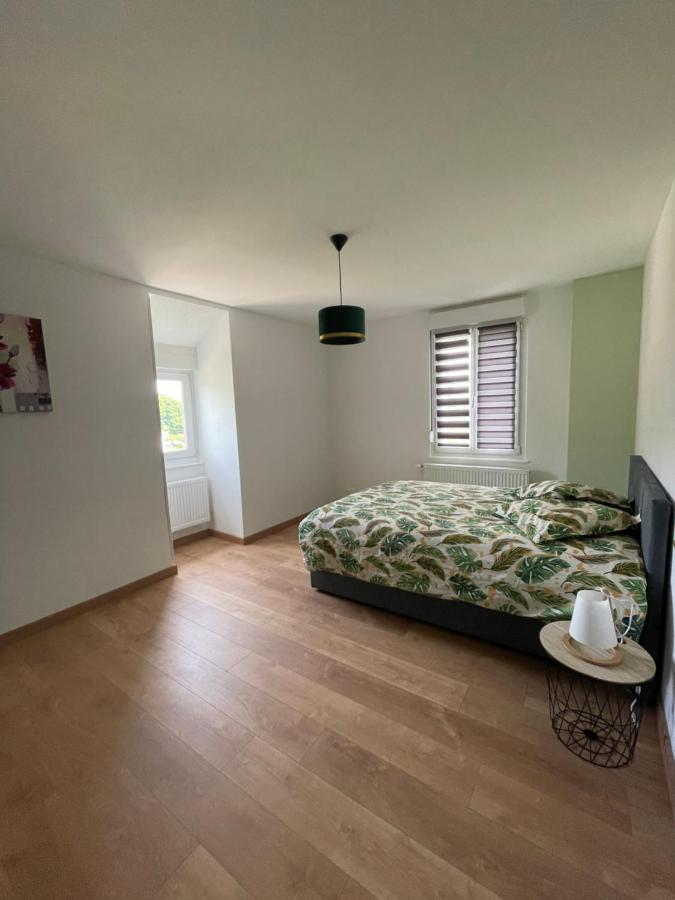 Appartement Les Tilleuls "3 Etoiles" 니더브룬레벵즈 외부 사진