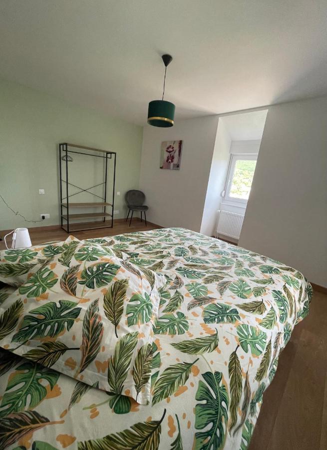 Appartement Les Tilleuls "3 Etoiles" 니더브룬레벵즈 외부 사진